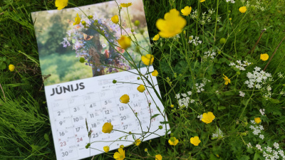 Ilustratīvs foto.