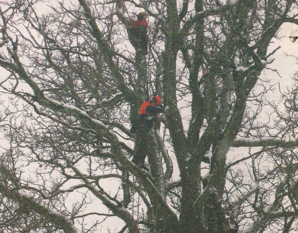 Tiek veikta apkope Glika ozliem. Attēls: Alūksnes Ziņas, 8.12.2010.