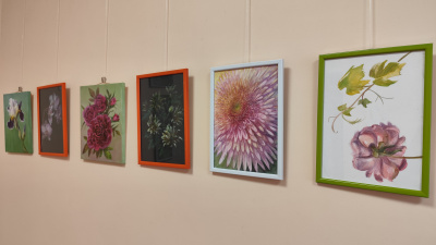 Dainas Rudzītes izstāde Alūksnes novada bibliotēkā.